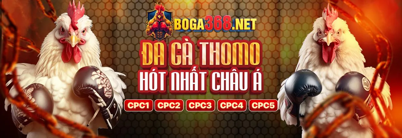 Banner khuyến mãi độc quyền Cbvip1 2026